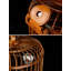 Cage à oiseaux Ganae-82100028