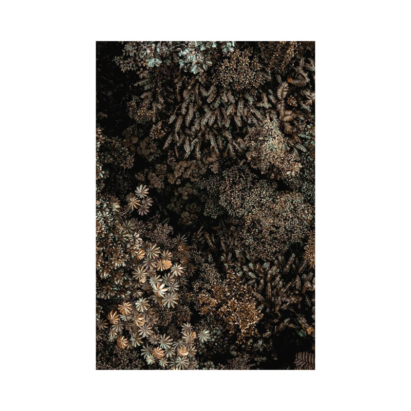 Secret XI by Design Fabrikken - Wrapped Canvas Print, 66.04 cm H x 45.72 cm W x 1.91 cm D