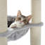 Derosa 65.4'' H Cat Tree