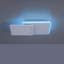 Flush Mounted Ceiling Light