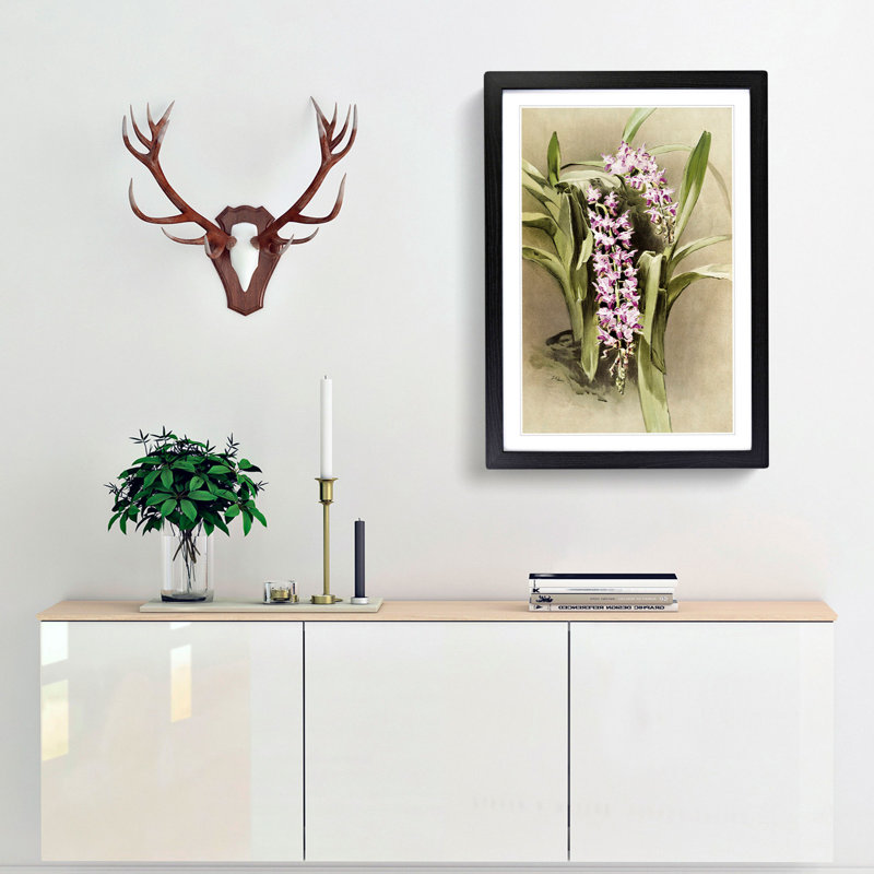Magnolia Flowers Illustration Tab. 81 by Frederick Sander - Picture Frame Painting Print, 60cm H x 40cm W x 2cm D, Black