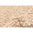 Baugh Wool Indoor Rug
