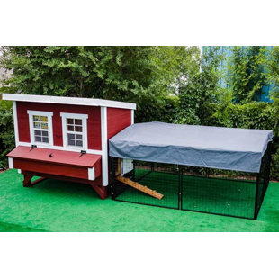 Automatic Chicken Coop Door