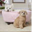 Polyester Pet Bed-2104401204