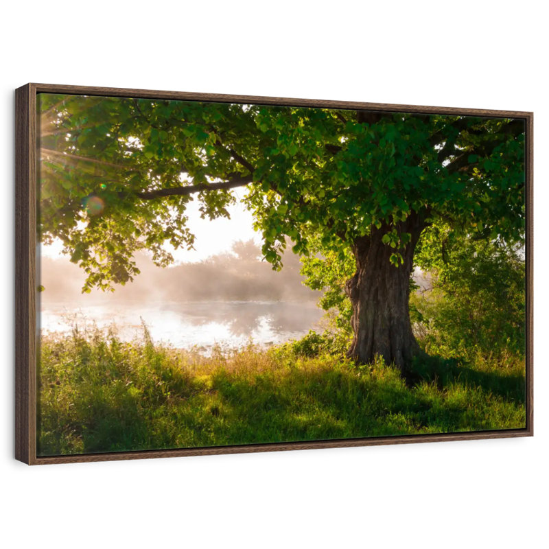 Chêne solitaire, 19 po x 13 po, Cadre flottant noyer
