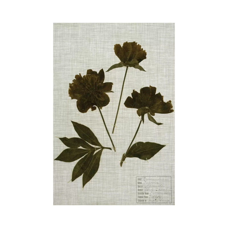Pressed Leaves On Linen by Vision Studio - Wrapped Canvas Gallery-Wrapped Canvas Giclée, 66.04 cm H x 45.72 cm W