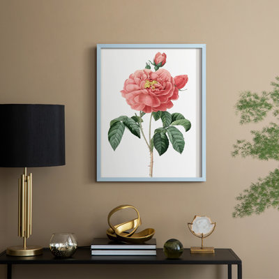 «Botanical Beauty III», reproduction encadrée - bois massif