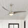 Coleigh 52'' Ceiling Fan with LED Lights