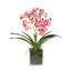 Faux Orchid Plant In White Vase-1999902368