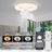 Enesha 18'' Ceiling Fan with LED Lights