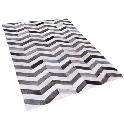 Deven Chevron Hand Woven Area Rug