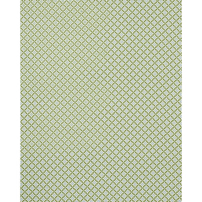 Serendipity Fabric