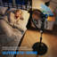 Floor Fan-124562664