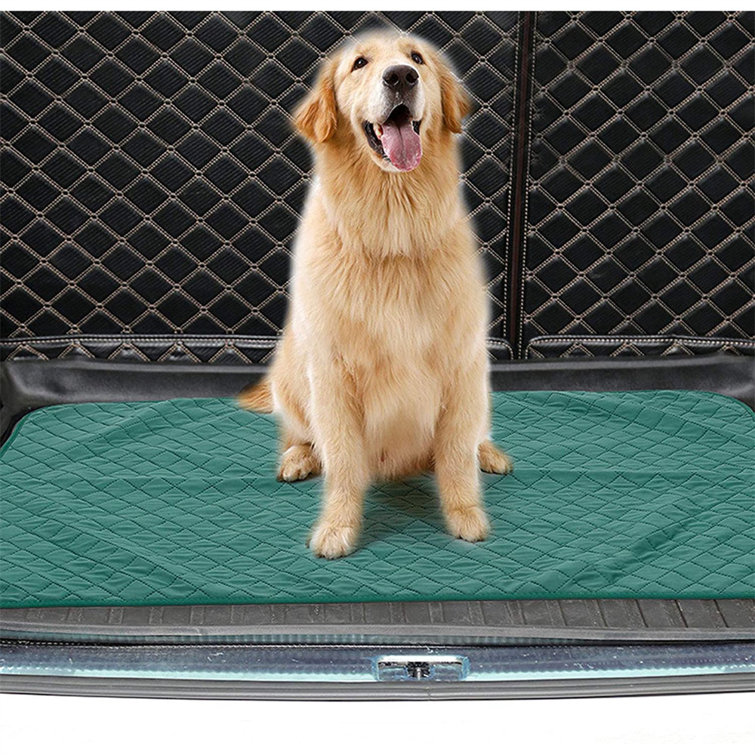Pee Resistant & Waterproof Dog Beds