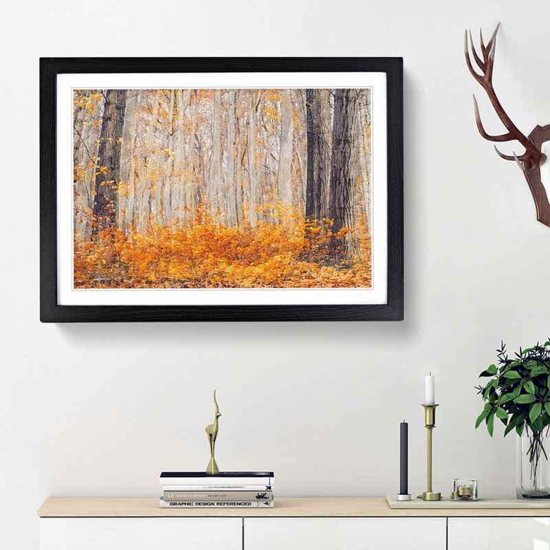 Orange Forest - Framed Print, 62cm H x 87cm W x 2cm D, Black Framed