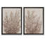 «Rustic Wildflowers I» par Vincent Van Gogh - ensemble de 2 reproductions d'art encadrées-1906130076-1906130074-1952335894
