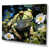 Wrapped Canvas