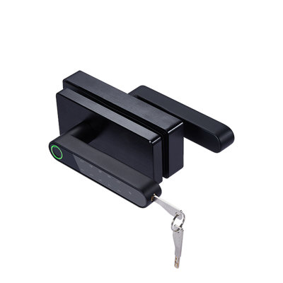 Smart Lock With Fingerpint, Password, Keys Unlock - Glass Door Locks