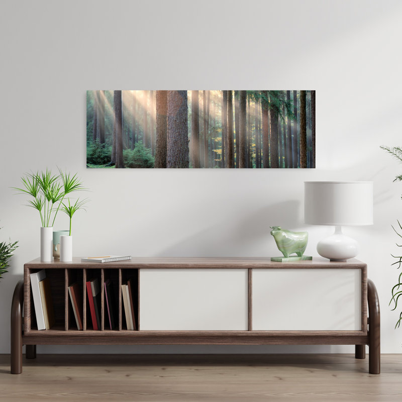 Lumière du soleil qui brille à travers les arbres dans une forêt, Bohême du Sud, République tchèque, art contemporain abstrait forêt naturelle