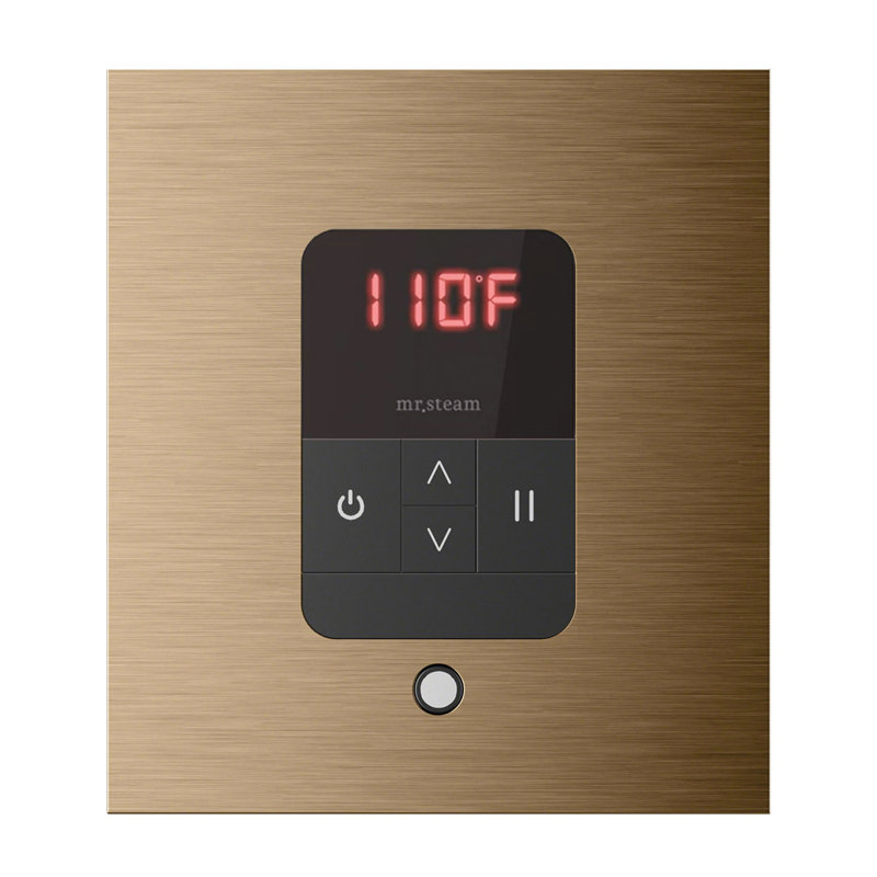 Steam Generator Control, Brushed Bronze