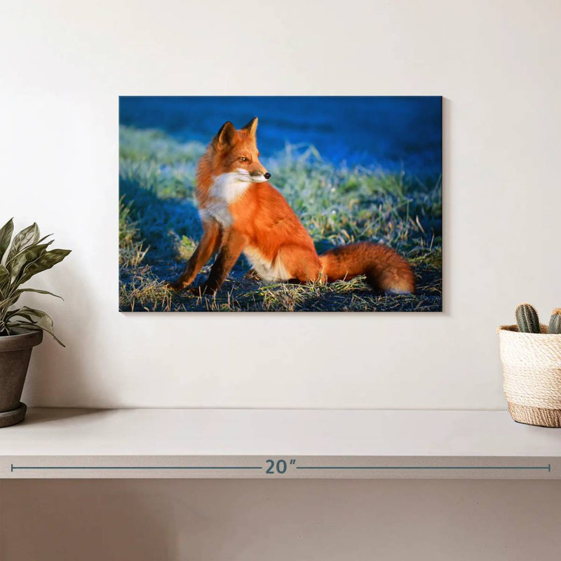 Brampt Regal Red Fox, 8" H x 12" W