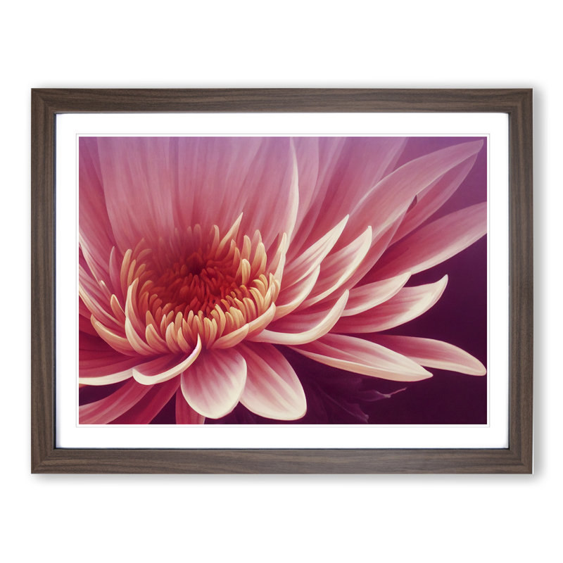 Artsy Chrysanthemum Flower - Single Picture Frame Print, Brown, 46cm H x 64cm W