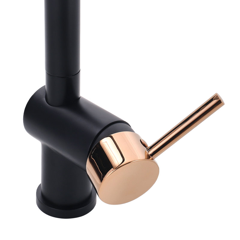 Belfry Kitchen Horwich Pull Out Kitchen Faucet