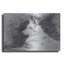 «White Shepherd In Gray» par Robert Campbell-1340757539