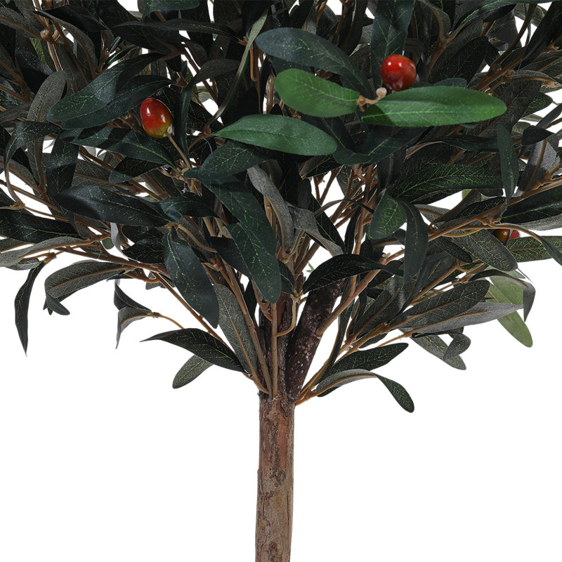 120cm Plant
