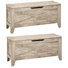 Pania 30" Wide Rectangle Storage Bench