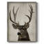 Impression encadrée Colorado Buck - bois massif