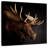 Brampt Antlered Moose-109368814