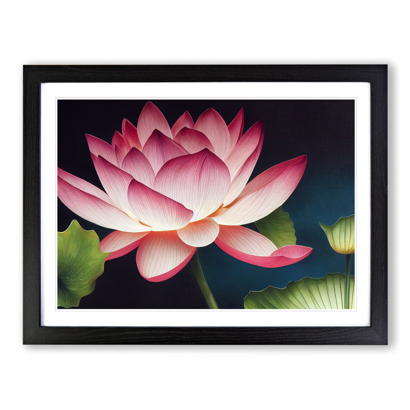 Stunning Lotus Flower - Single Picture Frame Print, Black, 46cm H x 64cm W x 2cm D