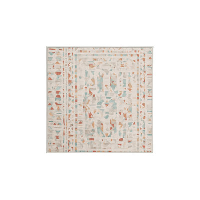 Silky Soft Plush Beige Area Rug