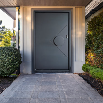 Mountain Horizon Iron Pivot Door