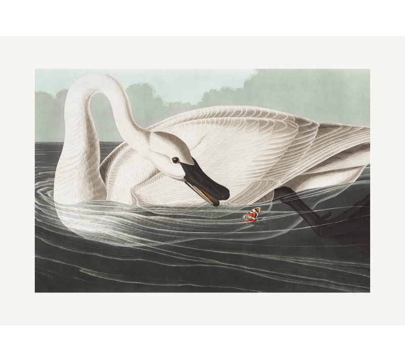 Wrapped Canvas Print, 50.8 cm H x 76.2 cm W