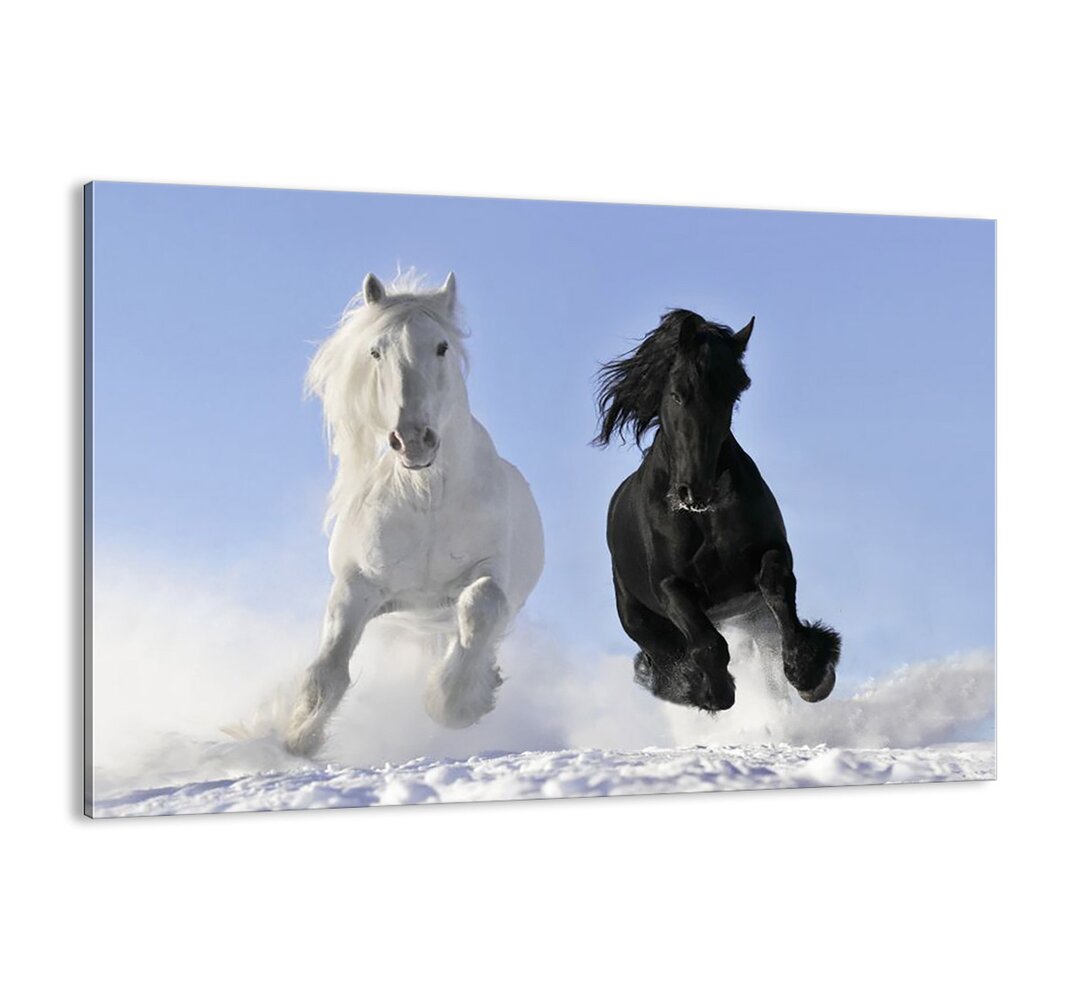 Black and White Gallop" - Ungerahmter Fotodruck auf Leinwand