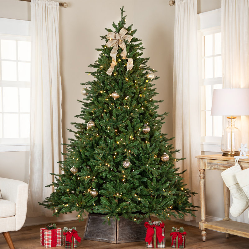 Real Touch Pre-Lit Cumberland Pine Artificial Christmas Tree - Warm White LED, 6.5'
