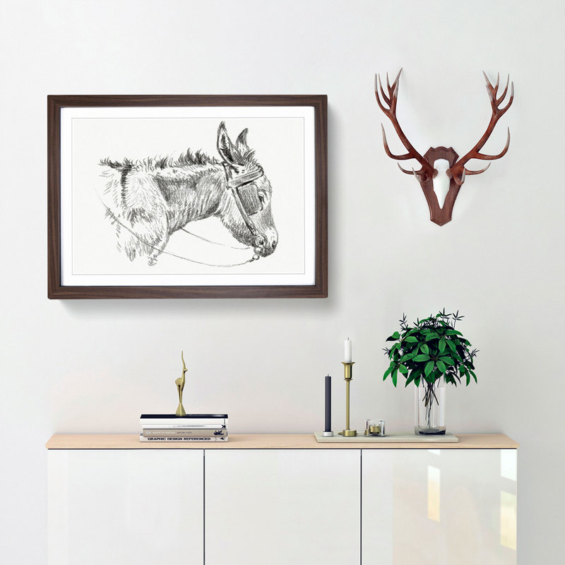 The Head of a Donkey by Jean Bernard - Picture Frame Drawing Print, Walnut Framed, 27cm H x 36cm W x 2cm D