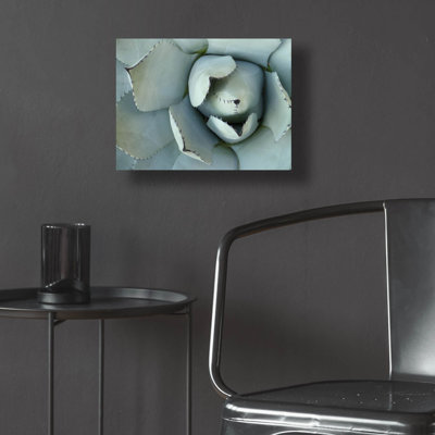  'Agave Detail 2' by Brittany Evans Acrylic Glass Wall Art, 16" x 12"