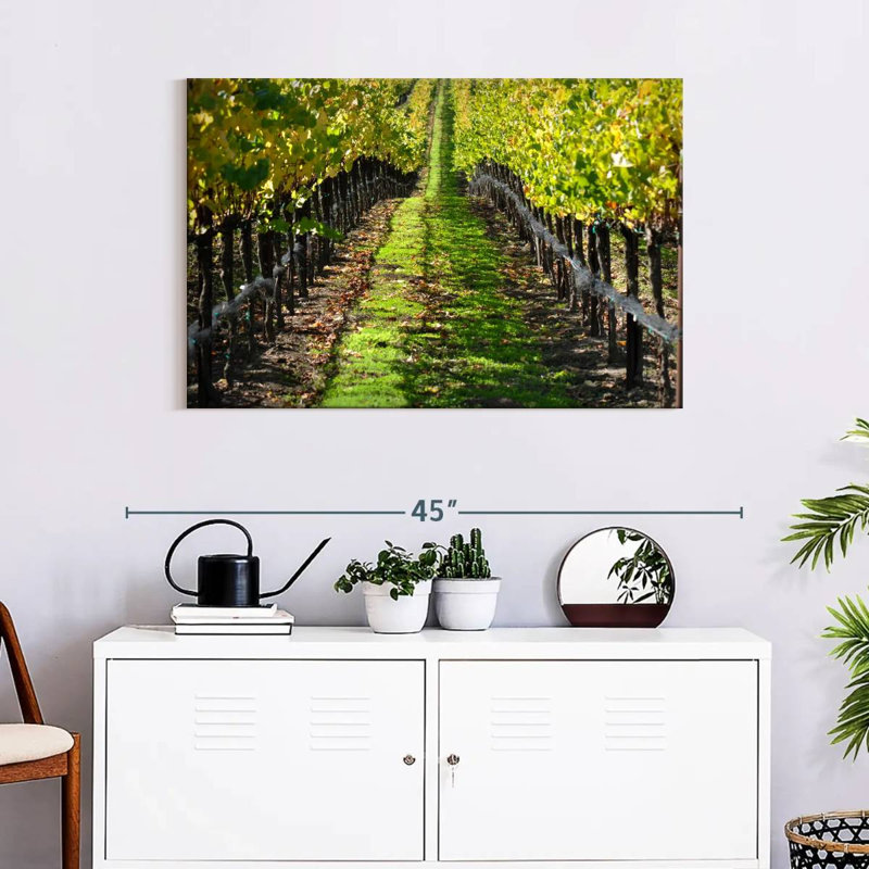 Yarlin Napa Valley Vineyard, H 24 po x l 36 po