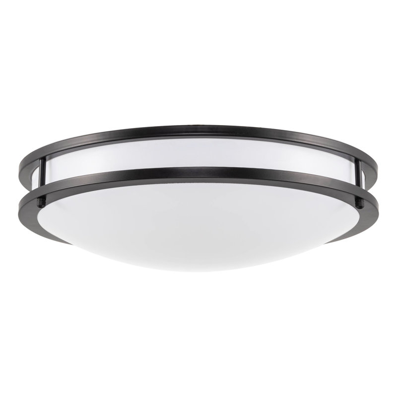 Delfeena Acrylic LED Flush Mount