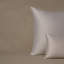 Sea Island Cotton Sateen Euro Sham
