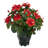 Hibiscus with Black Hexagon Vase Silk Plant