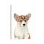 Corgi Puppy par Watercolor Luv - reproduction d'art-52940492-52940494-52940503