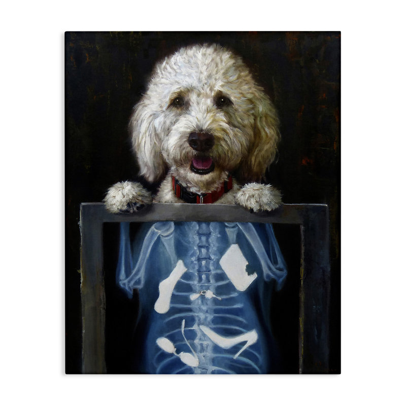 «Funny Dog X-Ray Snacks On Canvas» par Lucia Heffernan, peinture, H 30 po x l 24 po x P 1,5 po
