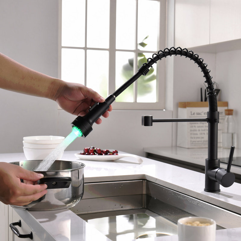 Robinet d'évier de cuisine à poignée simple avec douchette extractible, Noir