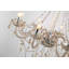 Samuel 8 - Light Chandelier