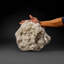 Genuine Clear Quartz Crystal Cluster From Brazil (15 Lbs)