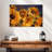 Harnek Sunflower Cluster-109399571